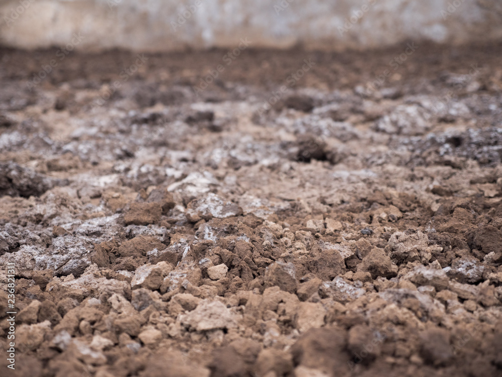 Working on the production of natural sea salt. Production of sea salt in the Bali,Indonesia. Salt crystallizes out of the ground in salt farm. Working on the production of natural sea salt. Production of sea salt in the Bali,Indonesia. Salt crystallizes out of the ground in salt farm.