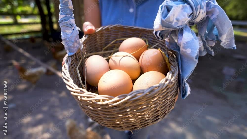 Asian woman hold up a wood basket with eggs. Hen chicken farm background.
