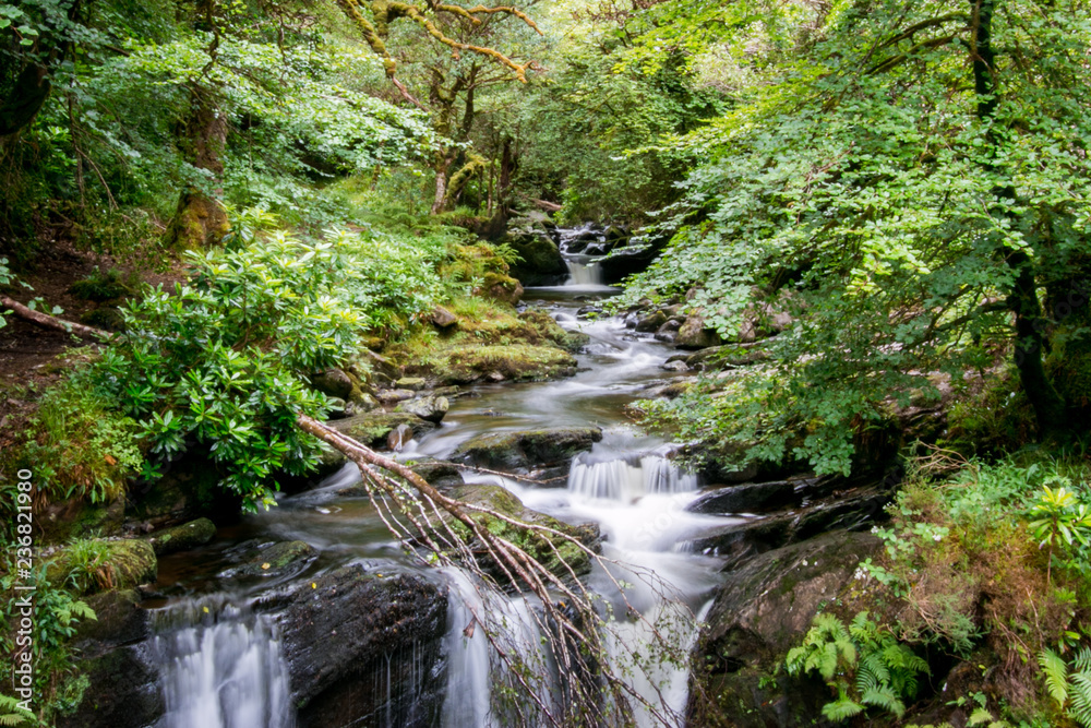 Rivière sauvage