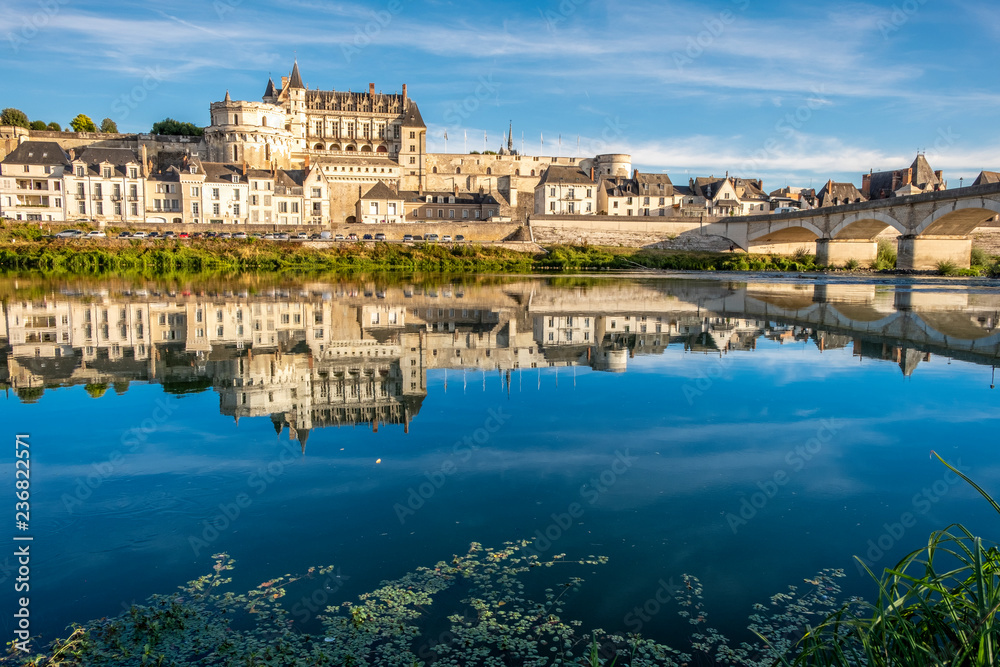 Panoramic view on the skyline of the historic city of Amboise with renaissance chateau across the river Loire. Loire valley, France.