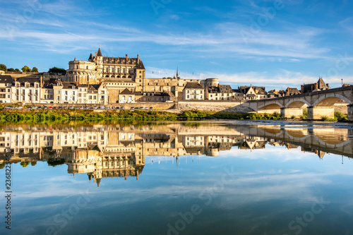 Panoramic view on the skyline of the historic city of Amboise with renaissance chateau across the river Loire. Loire valley, France.