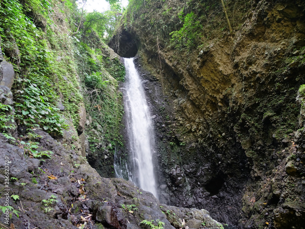 Fototapeta premium Waterfall in green rainforest. waterfall in the mountain jungle. Bali,Indonesia. Travel concept.