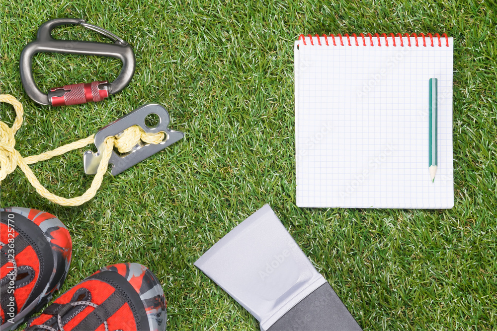 Fototapeta premium concept of things for extreme camping on green grass background