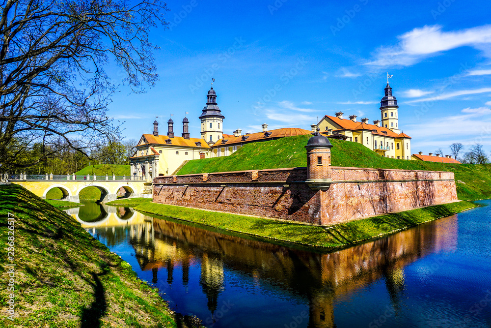 Obraz premium Nesvizh Castle Side