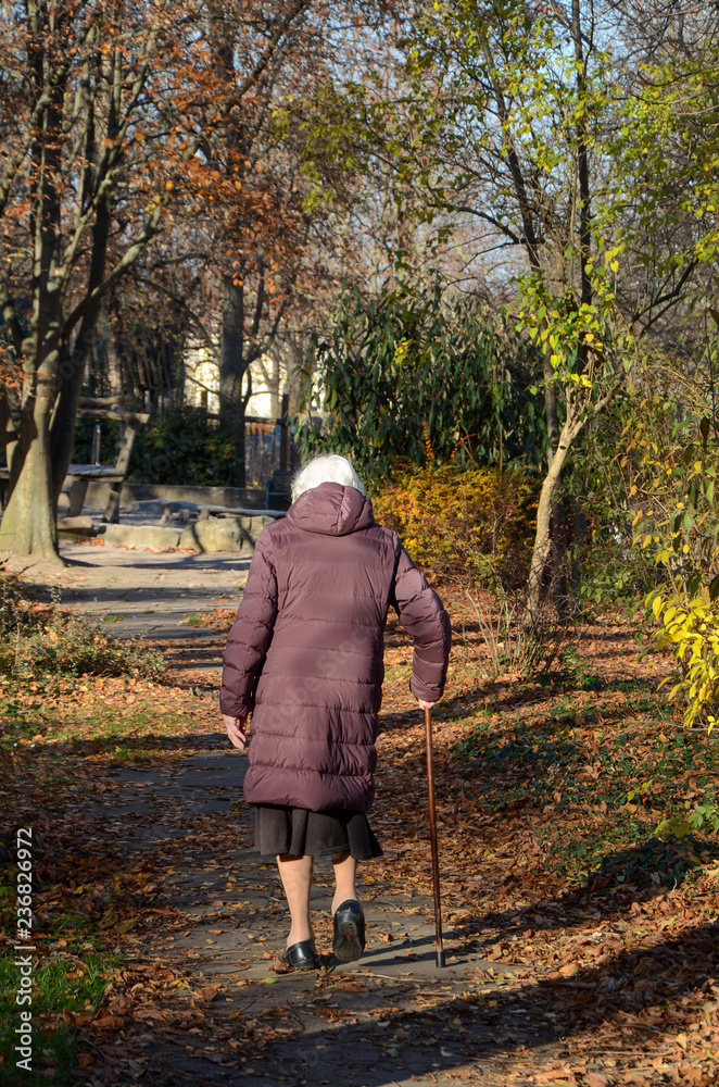 Obraz premium Rentnerin läuft mit gehhilfe in dem Park am Sonnigen Tag 