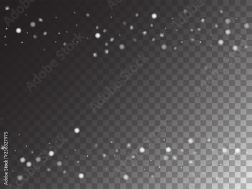 Winter Snowfall Ice Texture Vector Transparent Background. Realistic Snow Confetti Falling Down, Isolated Snowflake Scatter. Random Moving Realistic Snow Confetti, Christmas New Year Frost Decoration.