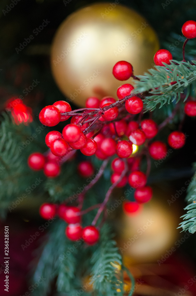 Fototapeta premium Closeup of ornamental berries on Christmas tree