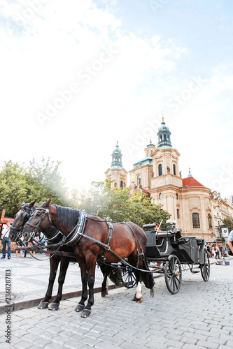 horse and carriage in prague © Diana