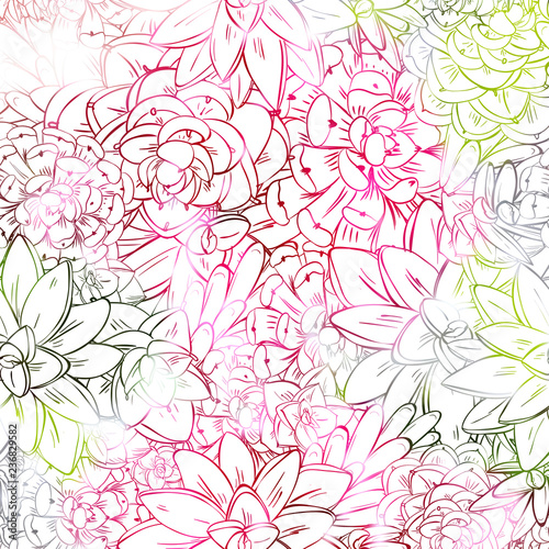 Seamless sucullent pattern. Color line art beautiful background