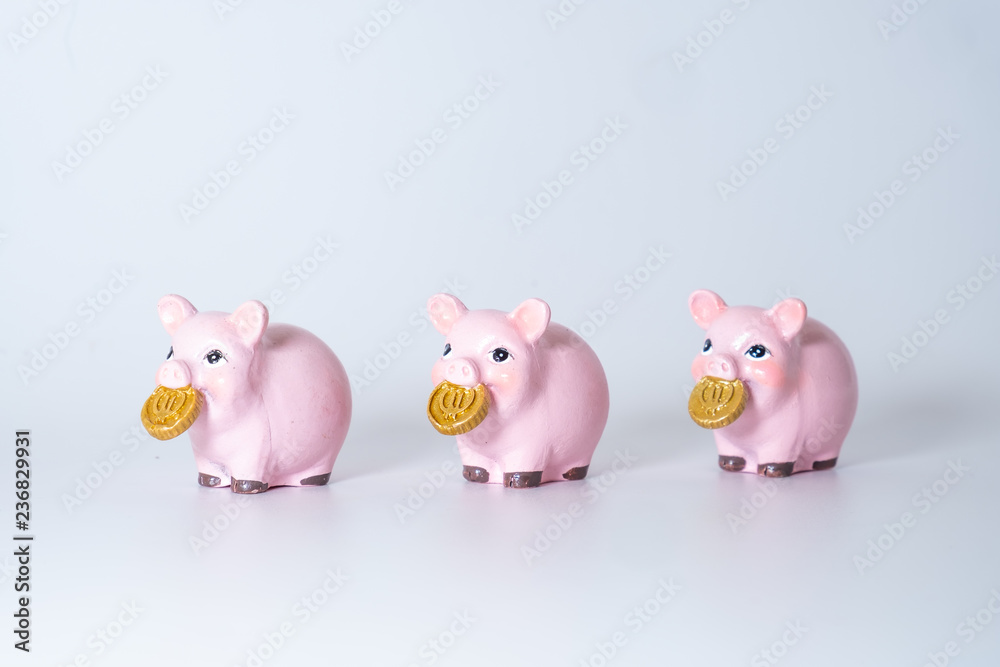 Figures of pigs with coins. Symbol of 2019 Figures of pigs with coins. Symbol of 2019