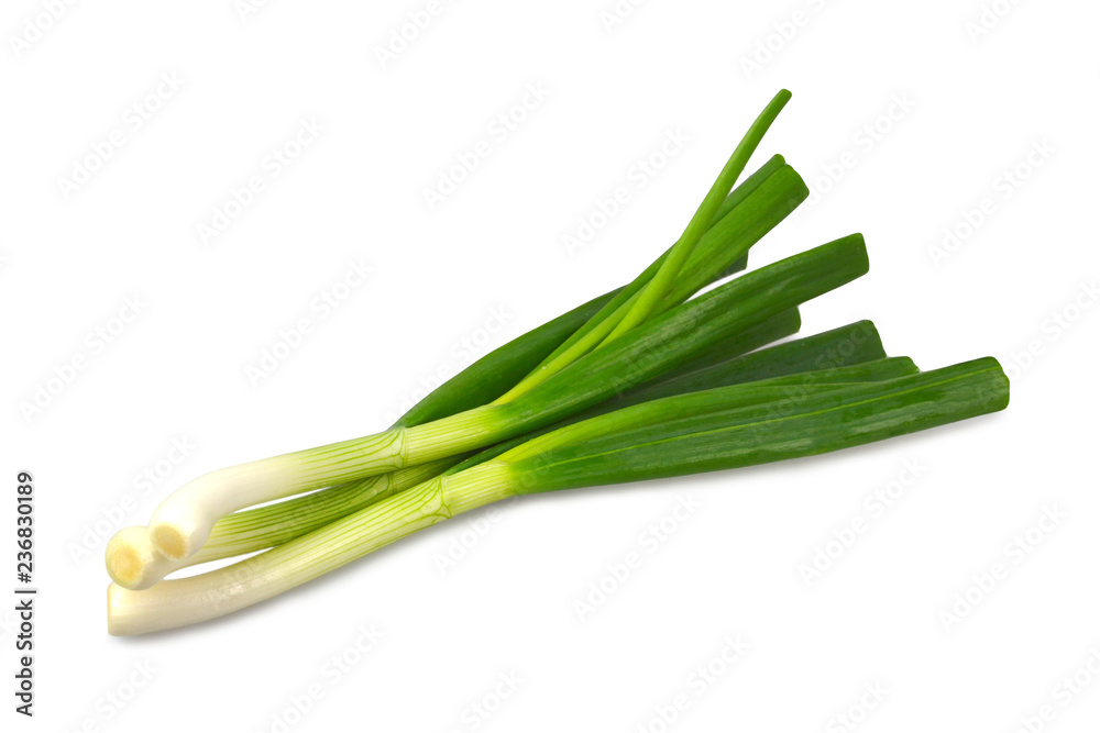 Spring onions isolated on white background Spring onions isolated on white background