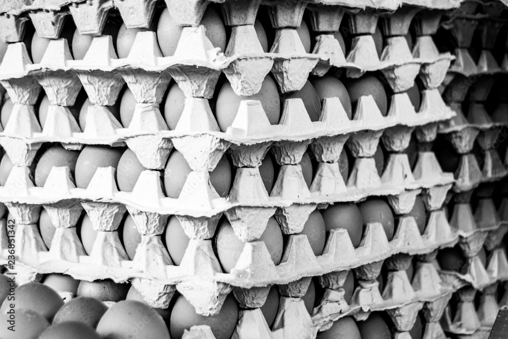 Black and white image of eggs in cartons for sale in Moroccan souk 
