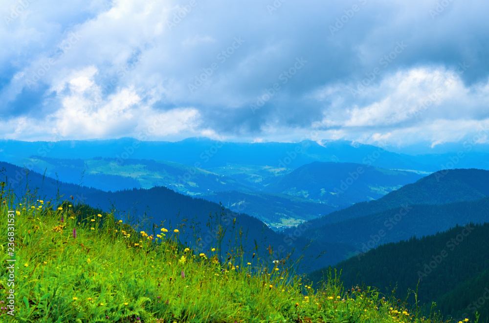 Obraz premium Landscape from height to mountain slopes, blue distance, meadow. Ukraine The Carpathians.