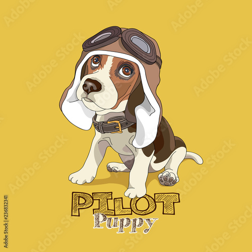 Puppy Beagle in a leather pilot hat on a yellow background. Vector illustration.