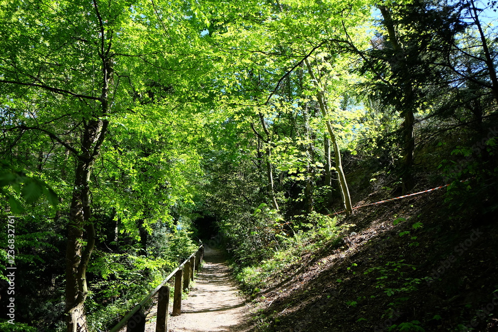 Fototapeta Piękna ścieżka w Baden-Baden