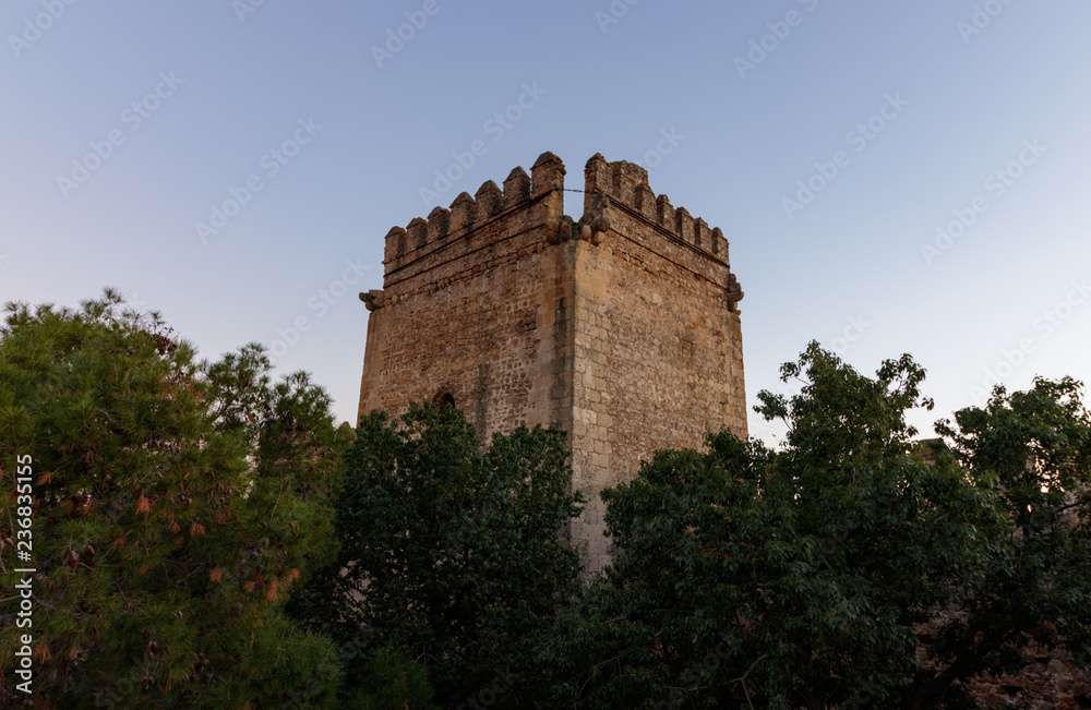 Medieval stone tower rising up from behind trees in Sevilla Spain