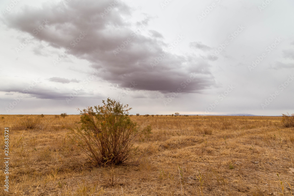 Endless steppes in front of a sky and clouds.