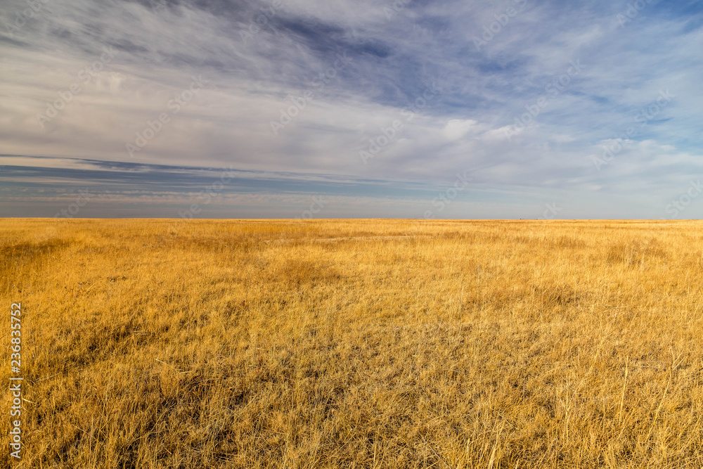 Endless steppes in front of a blue sky and white clouds. Endless steppes in front of a blue sky and white clouds.