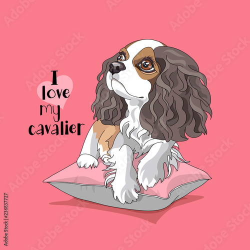 Cavalier King Charles Spaniel Puppy on a pink pillow. Vector illustration.