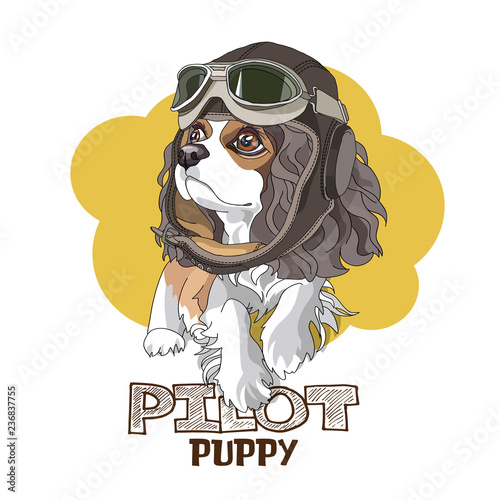 Puppy Cavalier King Charles Spaniel in a leather pilot hat on a yellow background. Vector illustration.