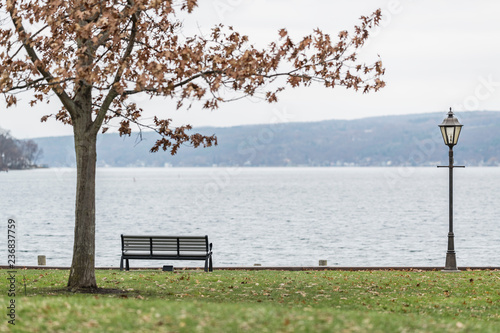 bench on the lake photo