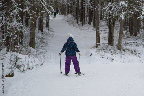 cross country skier