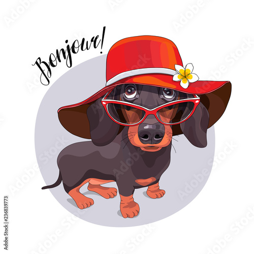 Dachshund Dog in a red broad-brimmed hat and in a big sunglasses. Vector illustration.