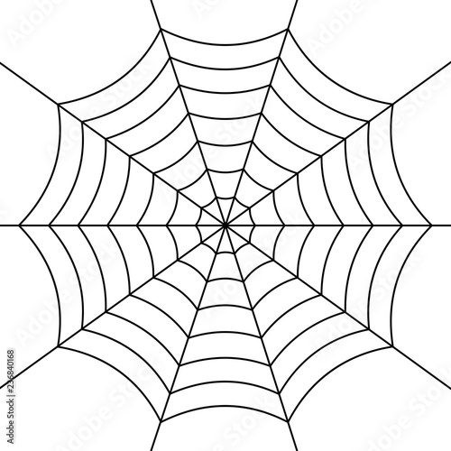 Spider web simply vector