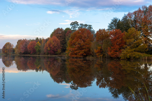 Autumn colored trees next to the pond