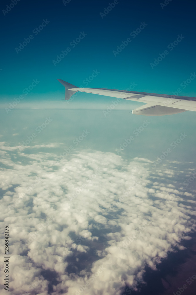 aile dans le ciel aile dans le ciel
