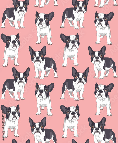 Seamless pattern. French Bulldog with a bow tie on a pink background. Vector illustration. © Afishka