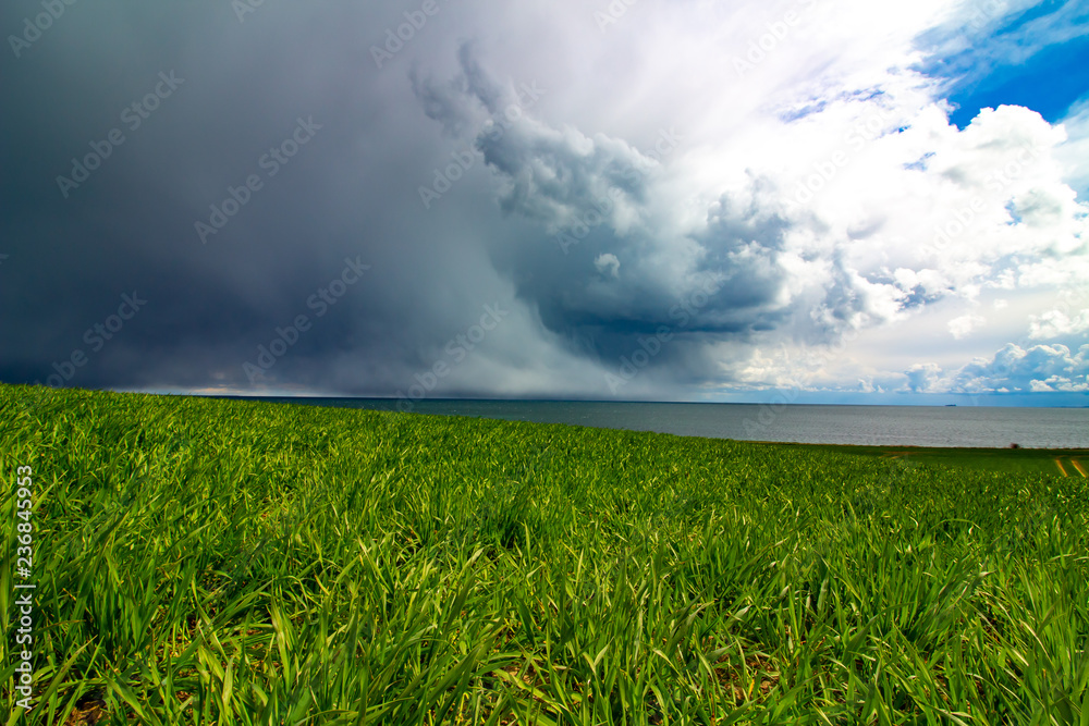 Stormy horizon