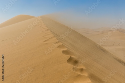 sand dunes in the desert