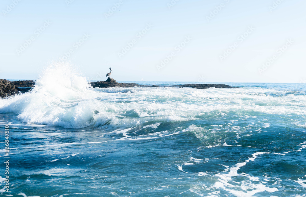 Peilican resting on a rock near a crashing wave with a sailboat in the background