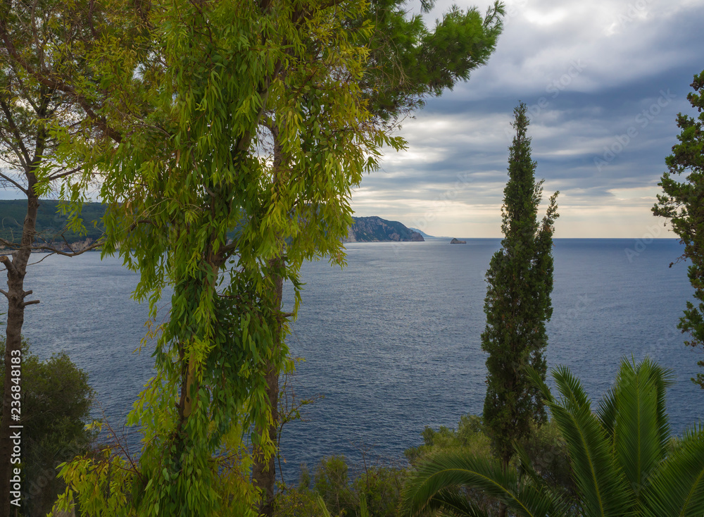 Green tropical vegetation palm and trees with view on Paleokastritsa bay, summer cloudy sky, Corfu, Kerkyra, Greece