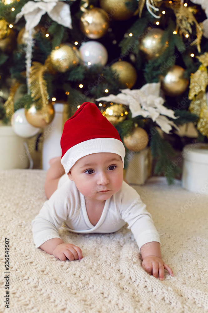 child in a red cap for Christmas is under the tree child in a red cap for Christmas is under the tree