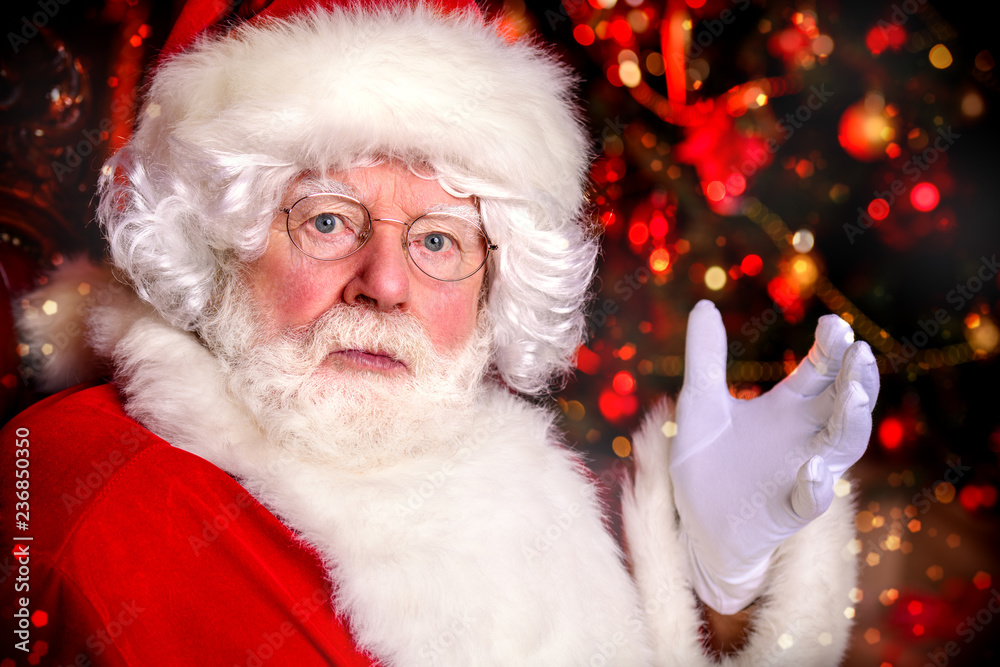 portrait of santa claus portrait of santa claus
