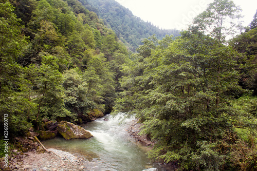 View of trees and Firtina river. The image is captured in Rize area of Black Sea region located at northeast of Turkey.