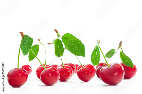 Sour cherry isolated on white background