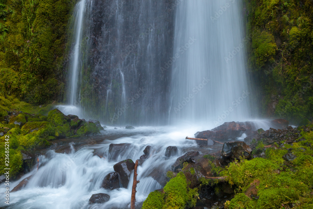 Fototapeta premium A waterfall in the Columbia River Gorge, Oregon