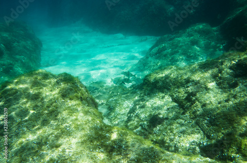 Underwater landscape in the Mediterranean