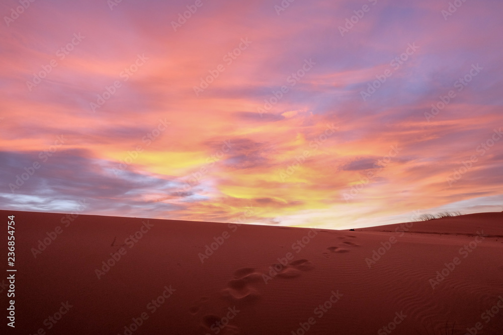 sahara sunrise