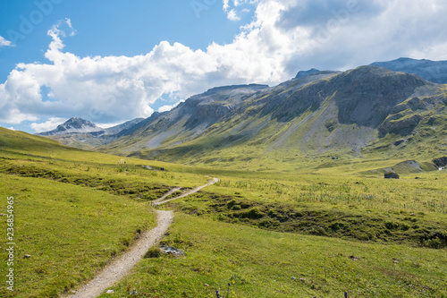 Beautiful Swiss mountain landscape green grass, blue sky, white clouds, summer day, paved paths