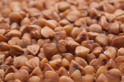 The seeds of buckwheat close-up.