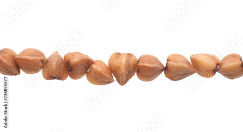 Strip of buckwheat isolated on a white background.