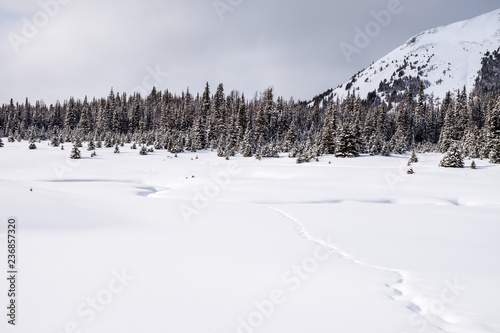 Winter landscape in Kananaskis Country near Mount Chester, Alberta
