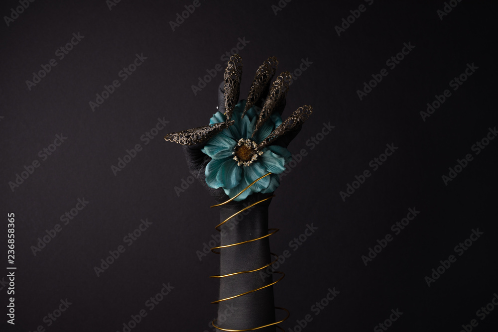 Obraz premium Dark Roses