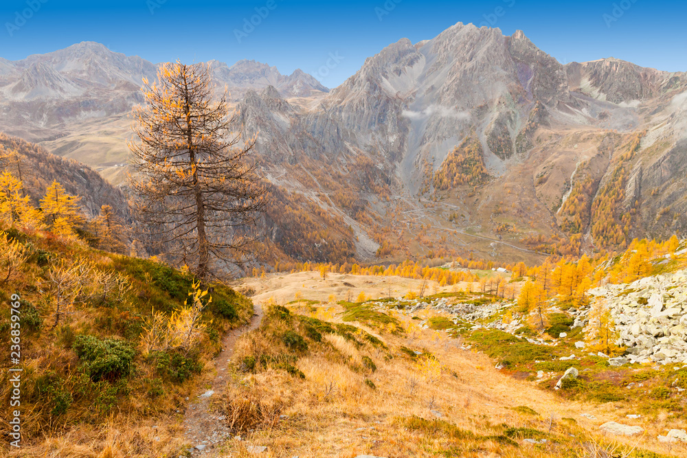alpine panorama of Piedmont region
