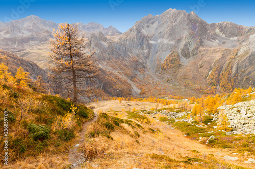 alpine panorama of Piedmont region