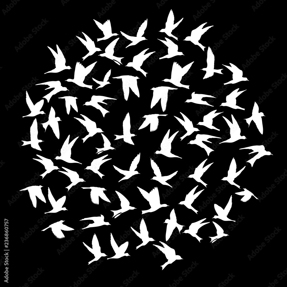 Silhouette of flying birds on black background. Inspirational body flash tattoo ink. Vector. Silhouette of flying birds on black background. Inspirational body flash tattoo ink. Vector.
